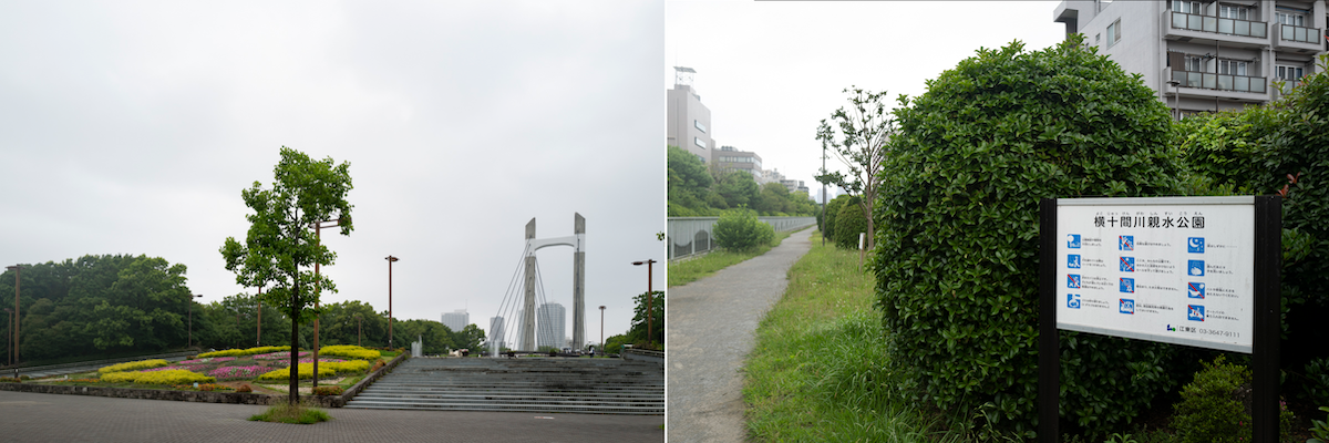 木場公園