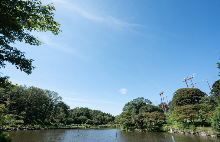 こども自然公園