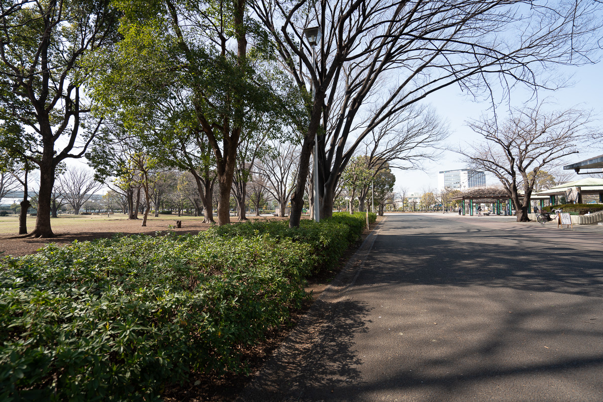 ライオンズマンション新小岩駅前弐番館の最寄りのスーパー