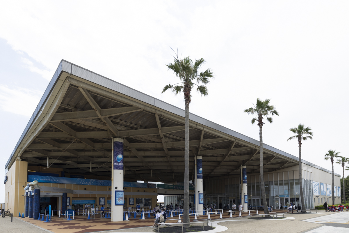 新江ノ島水族館