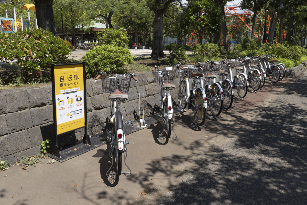 総合レクリエーション公園