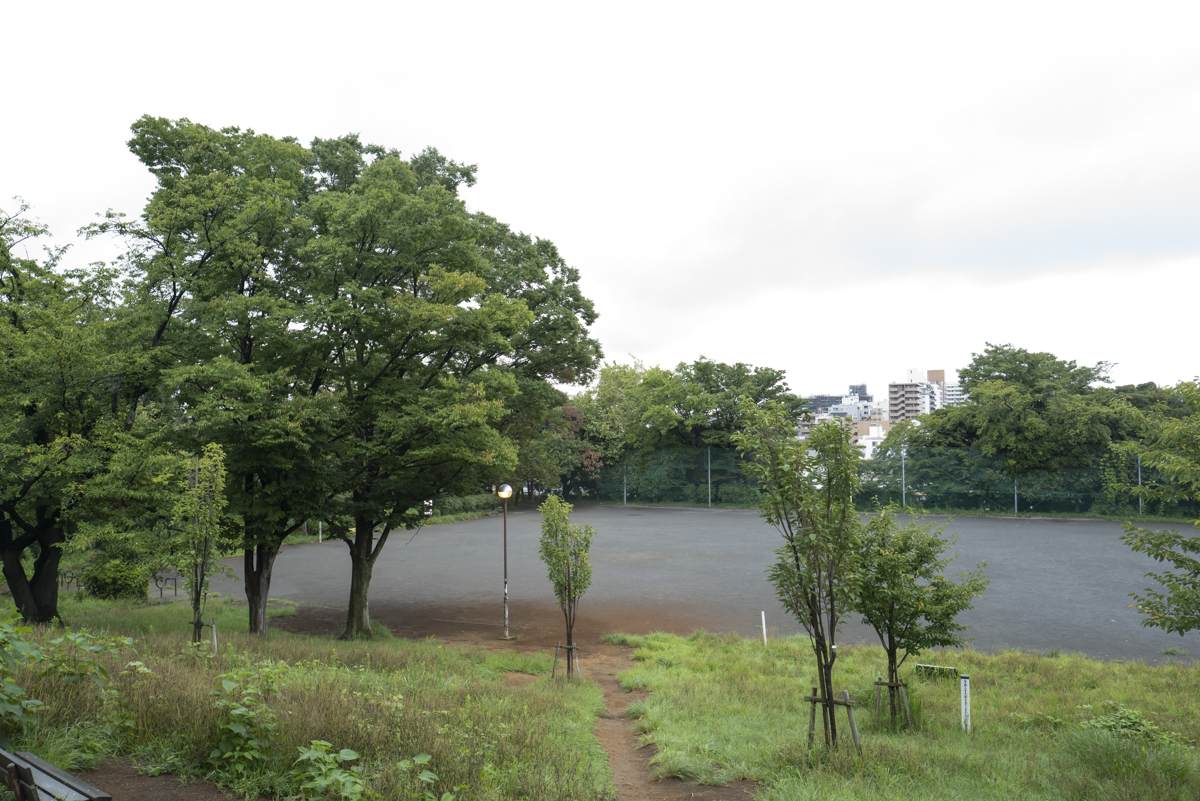 鷺沼公園