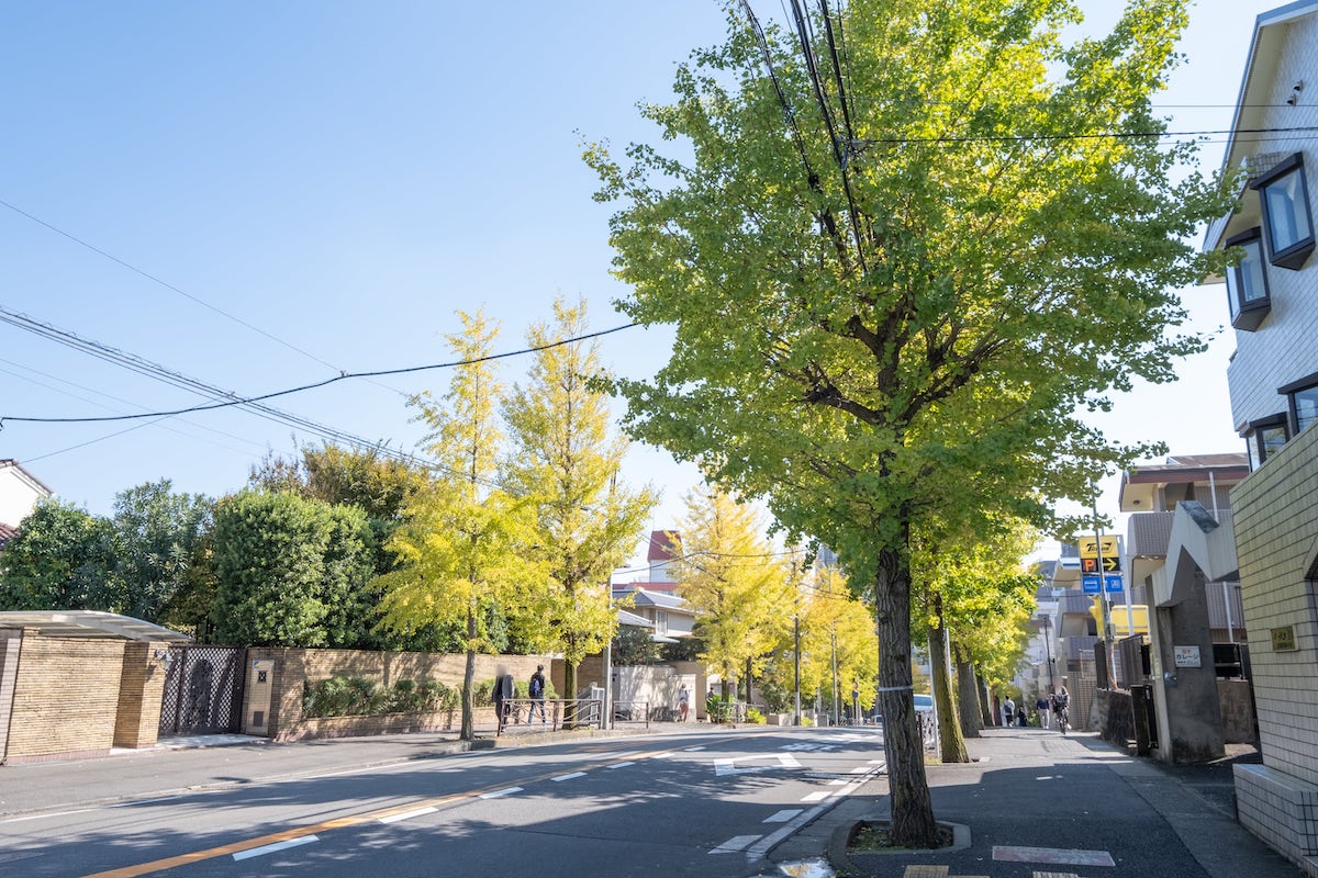 鷺沼スカイドエリングA棟　周辺道路