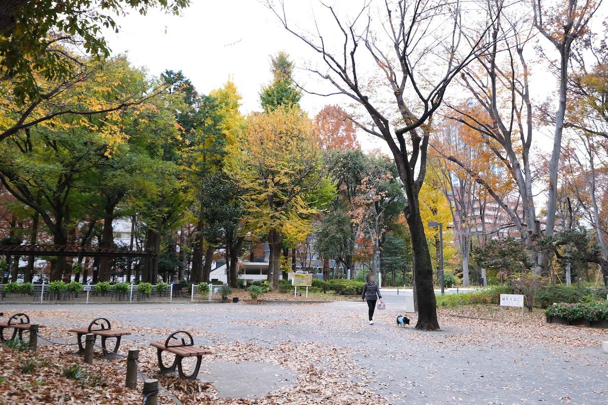 アトラスタワー西新宿　新宿中央公園