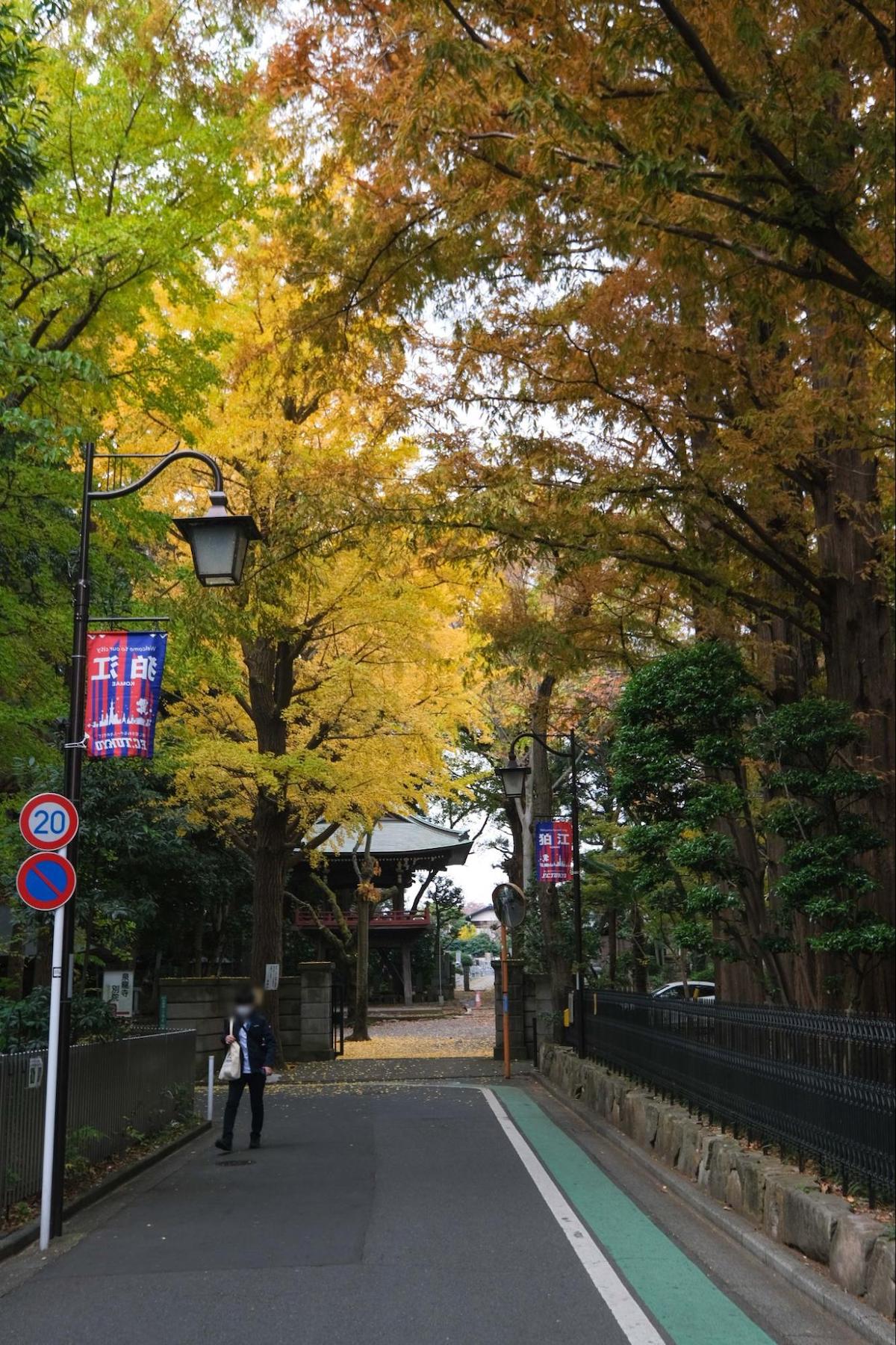 狛江　雲松山 泉龍寺