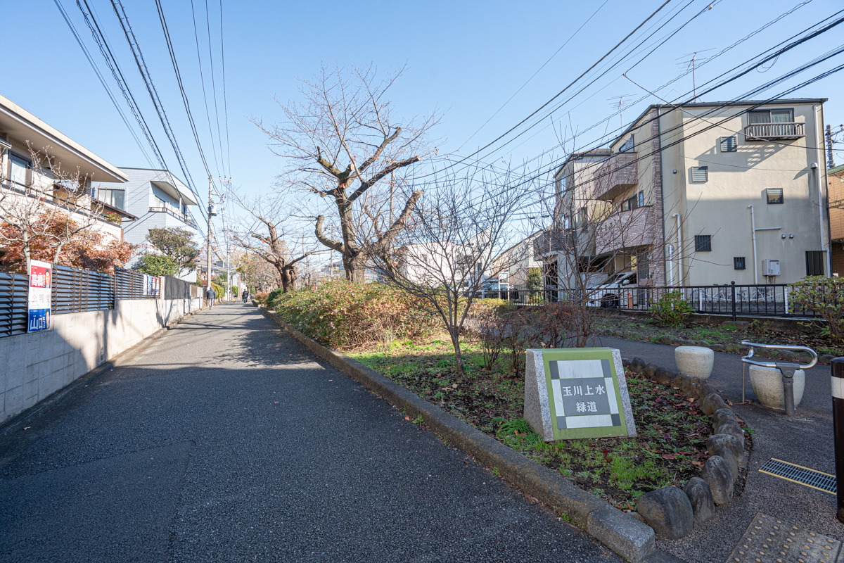 玉川上水緑道