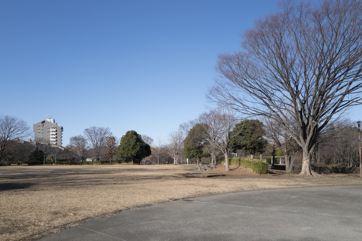 公園