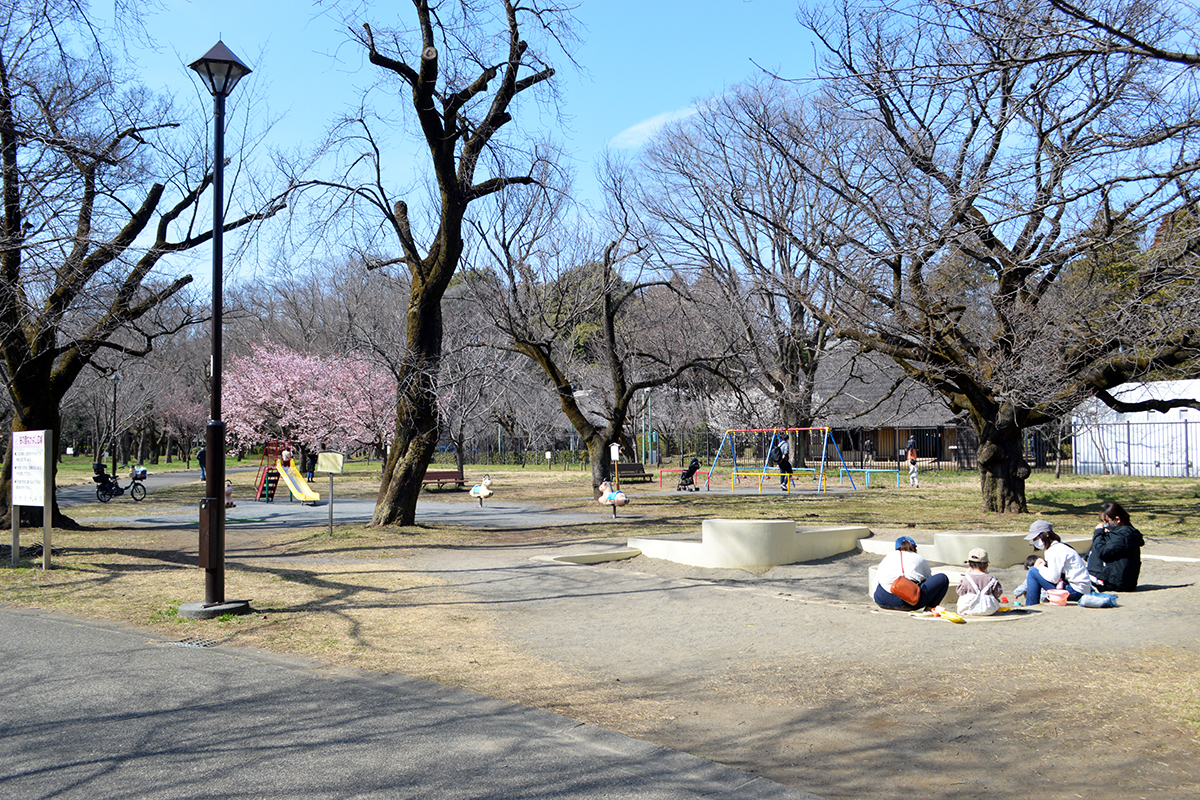 小金井公園