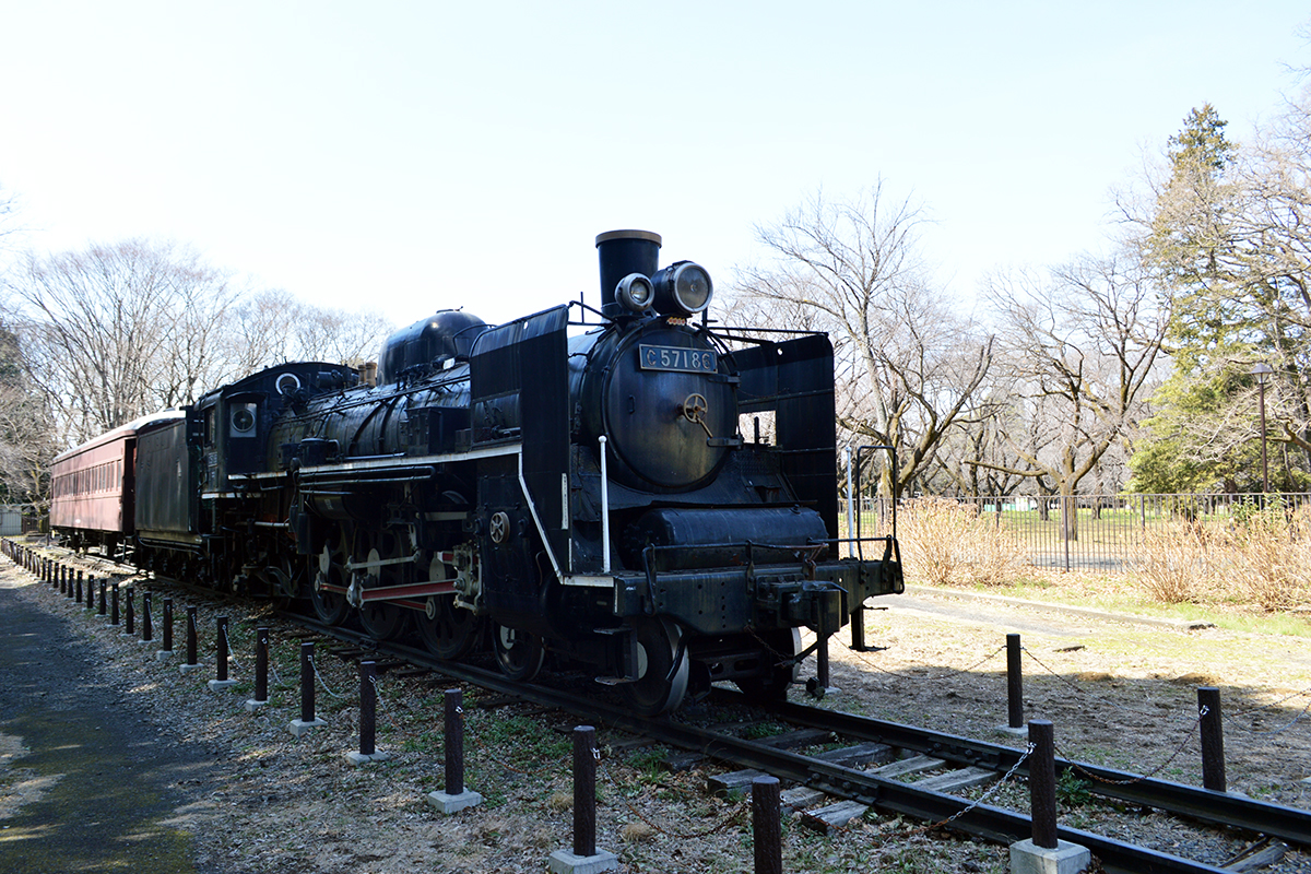 小金井公園のSL