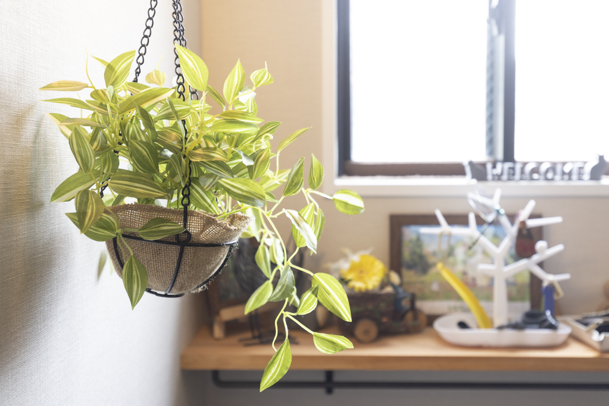 ベルザ多摩センターの植物