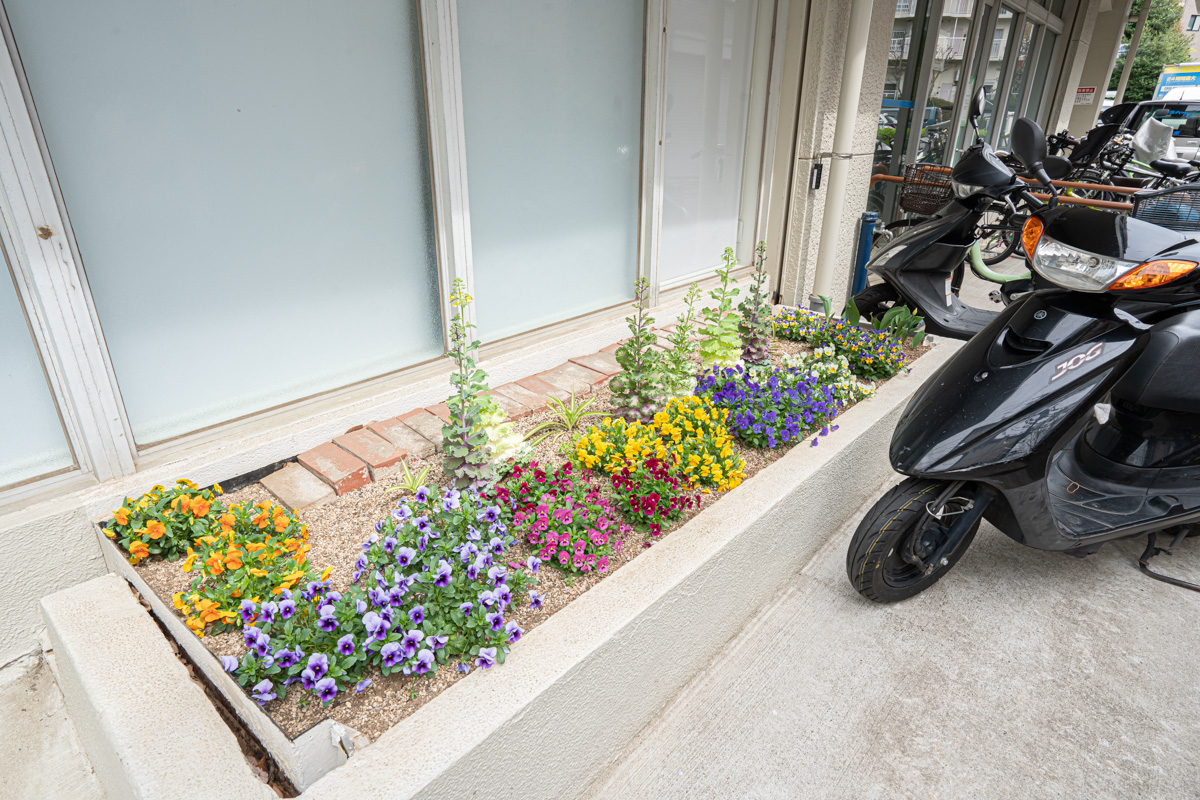 三田コーポの花壇