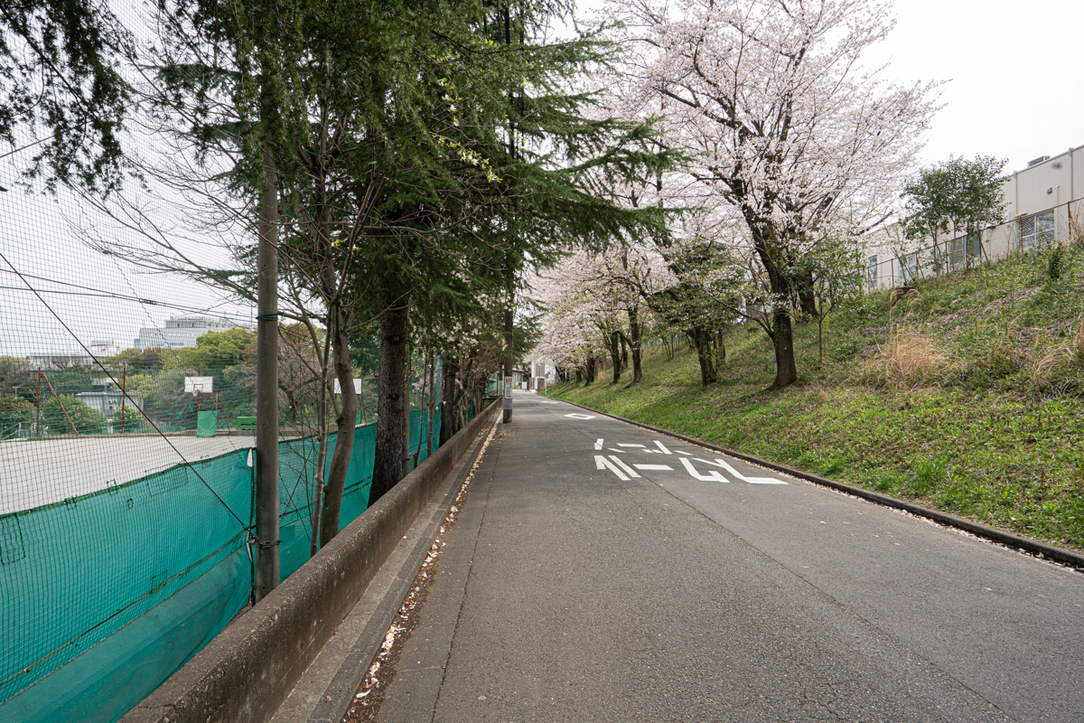 周辺道路