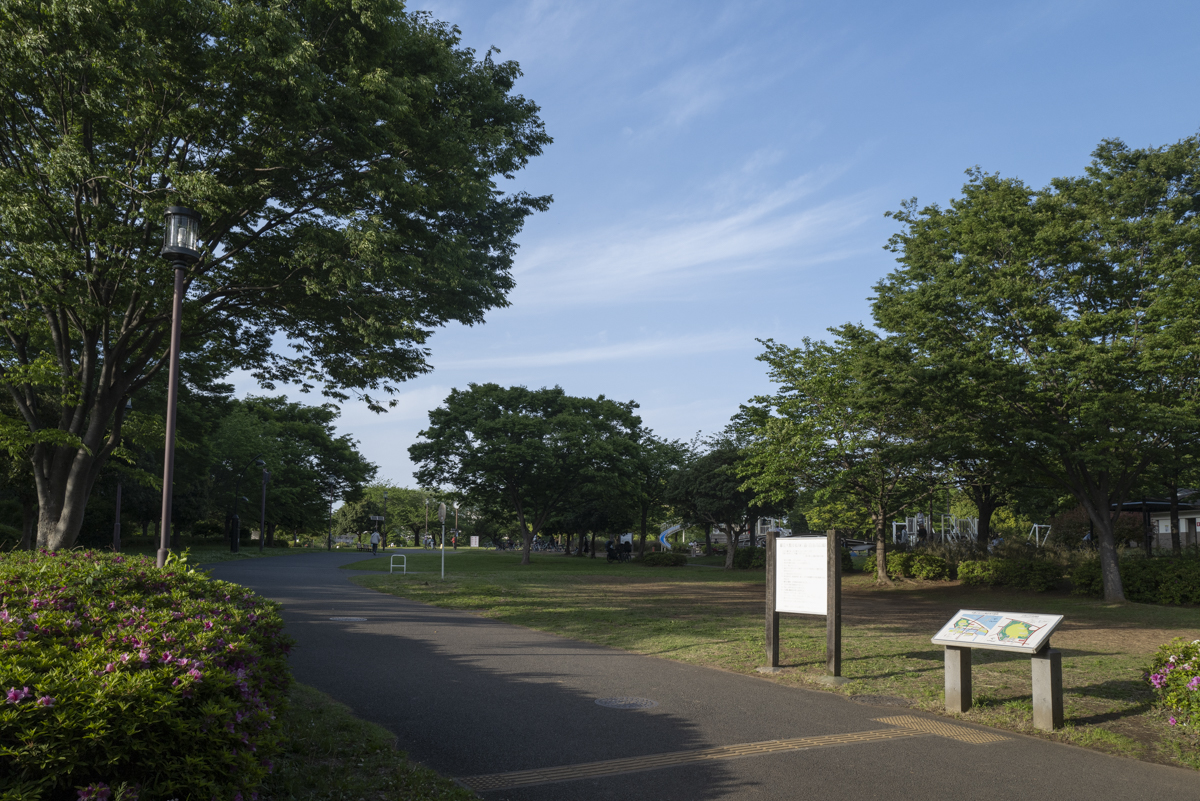 公園