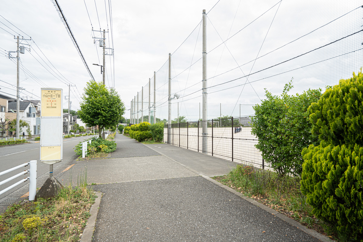 周辺道路