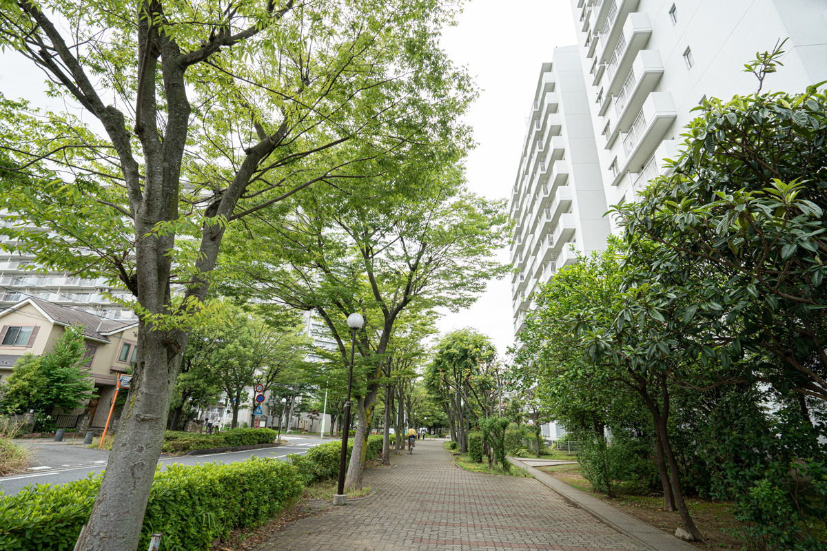 パークフィールドみさと4街区2号棟