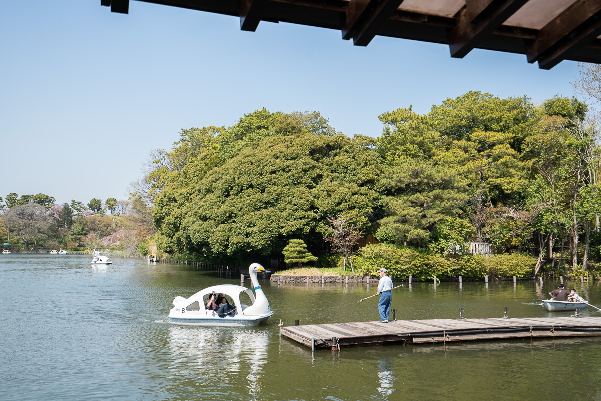 ザ・パークハウス東雪谷　洗足池公園