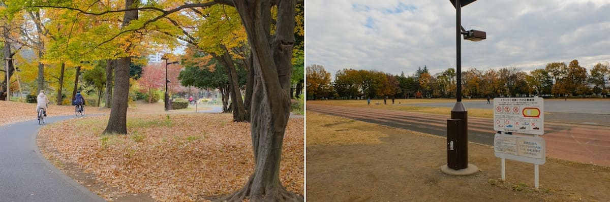 東大和グリーンタウン2号棟の周辺環境