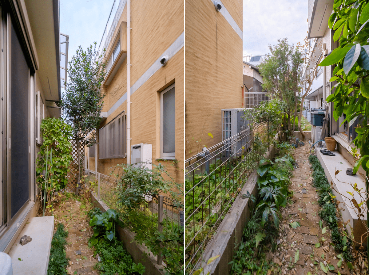 練馬区石神井台戸建の庭