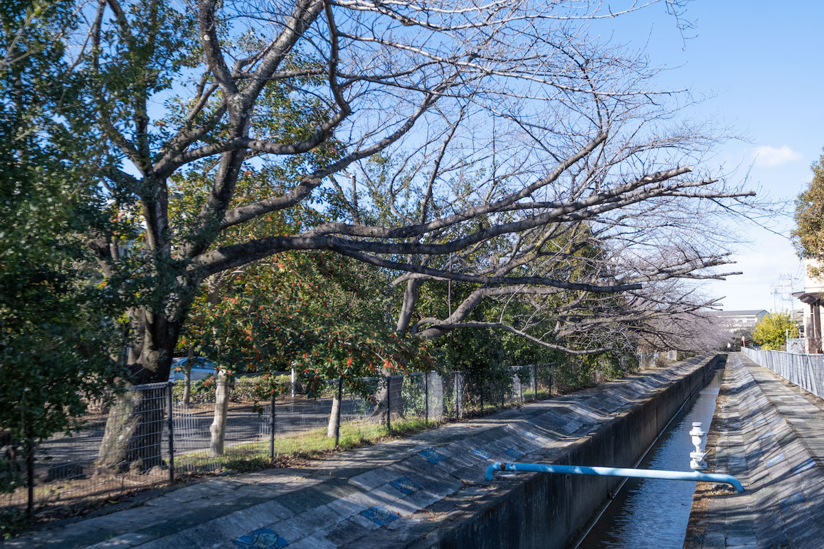 杉戸高野台 ベリアス西六番街の周辺環境