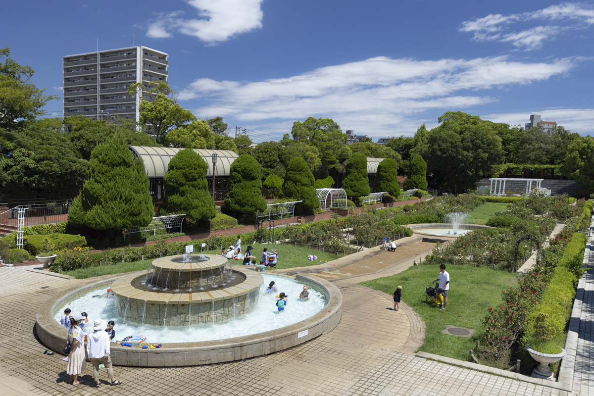 総合レクリエーション公園