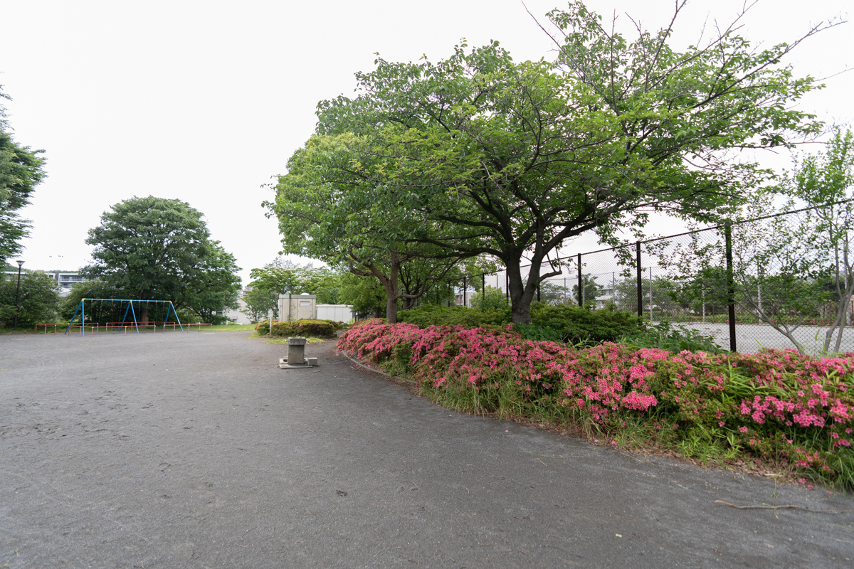 ロイヤルシャトー片倉町の周辺