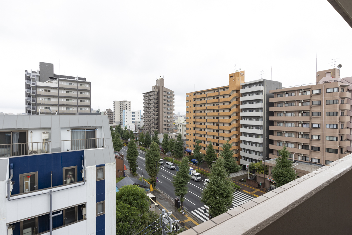 ライオンズプラザ本蓮沼の眺望