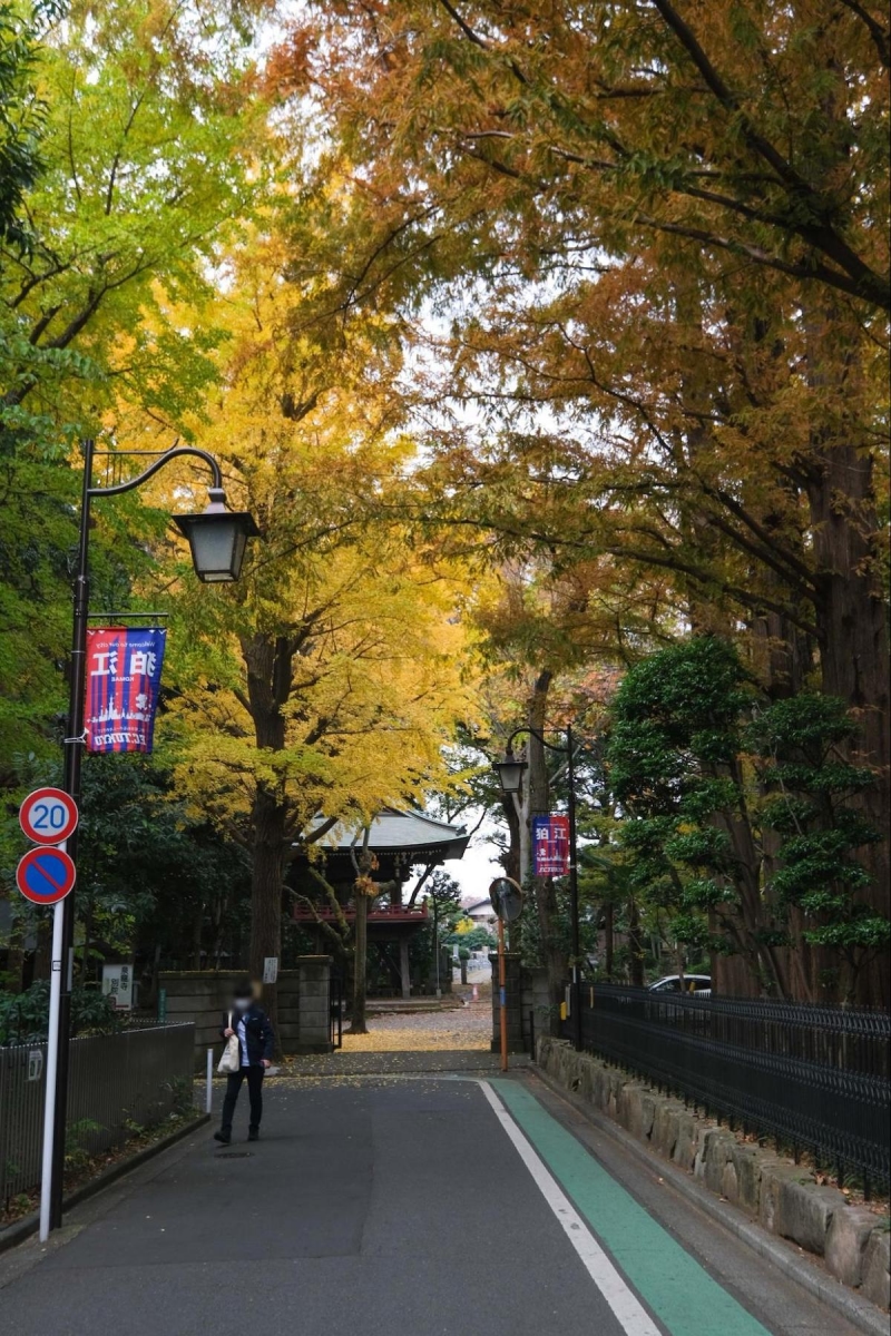 狛江グリーンプラザ　周辺の環境