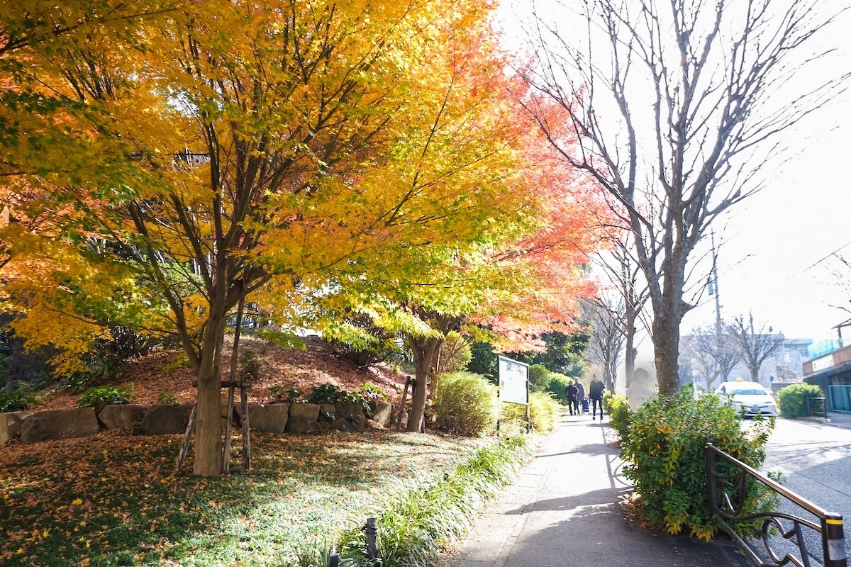 サクラティアラ宮崎台ヒルズ　宮崎第一公園