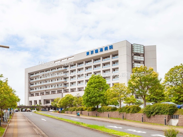 東京臨海病院