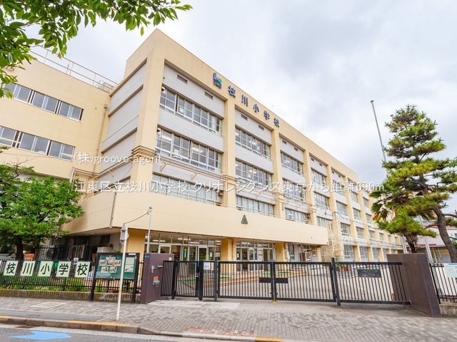 江東区立枝川小学校