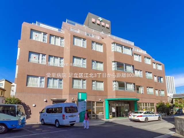 愛里病院