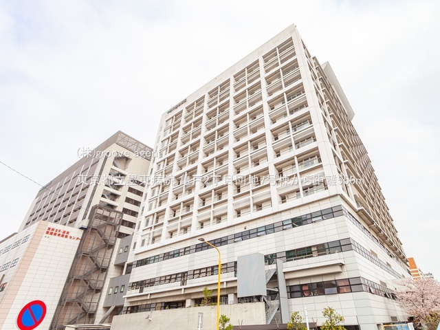 東京都立墨東病院