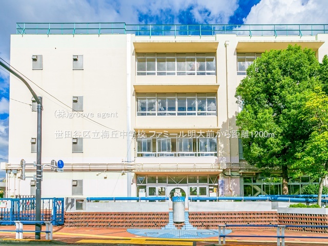 世田谷区立梅丘中学校