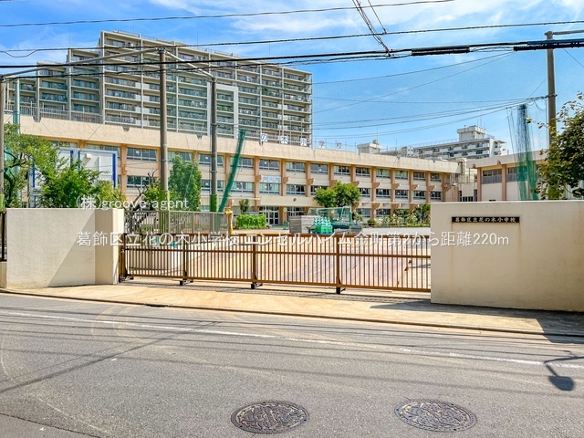 葛飾区立花の木小学校