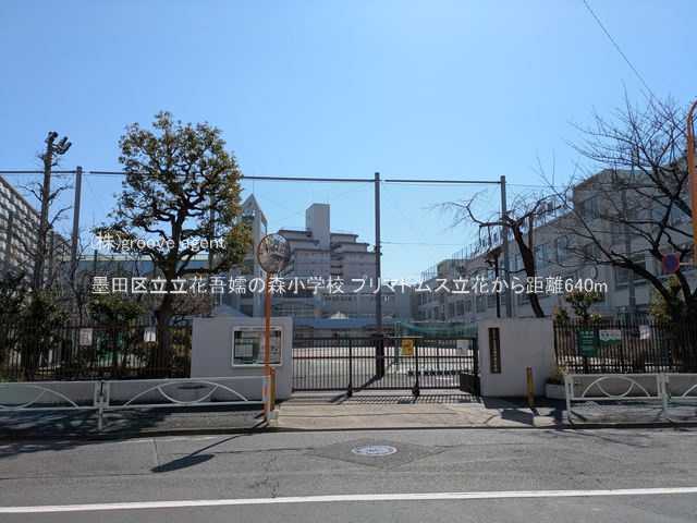 墨田区立立花吾嬬の森小学校
